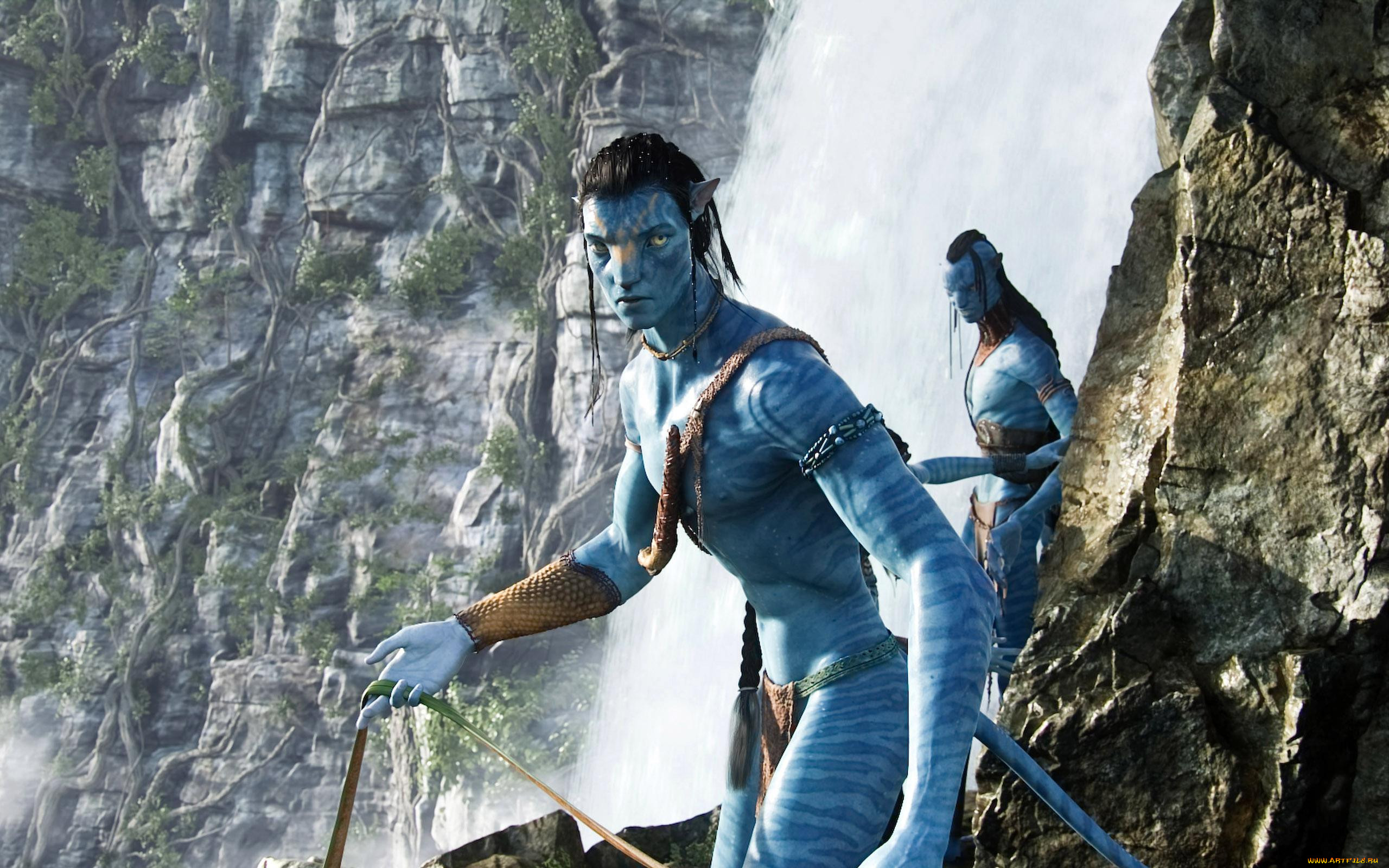 , , avatar